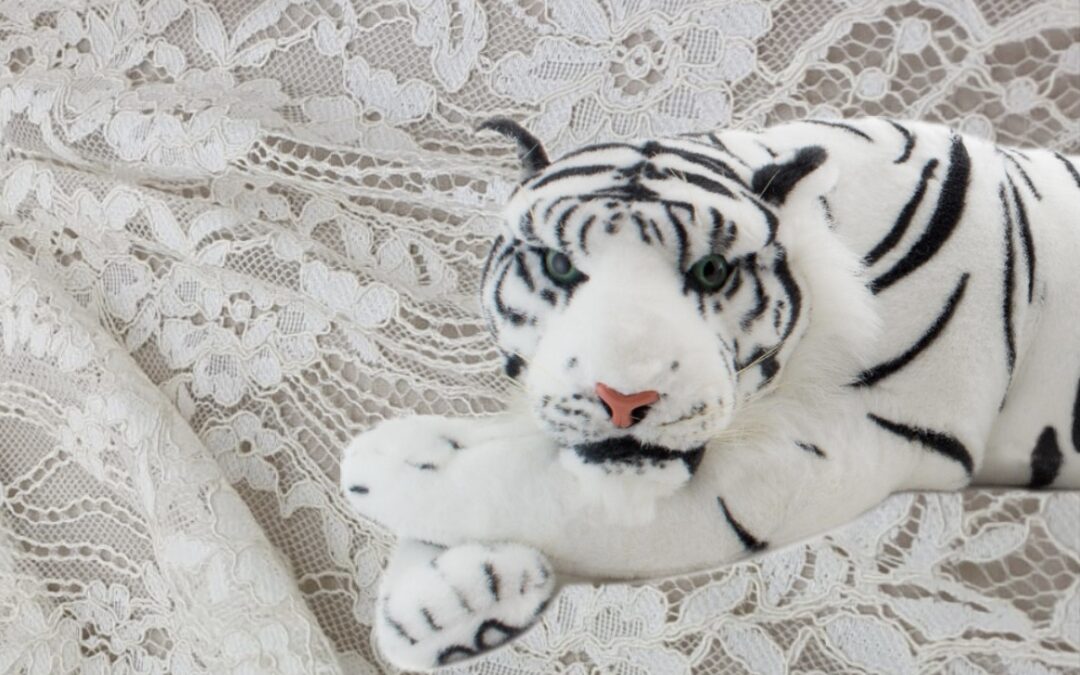 LIEBE/Eine argumentative Übung